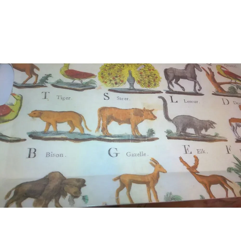 John Derian for Target Animal Alphabet Melamine Serving Tray Vintage Style Print